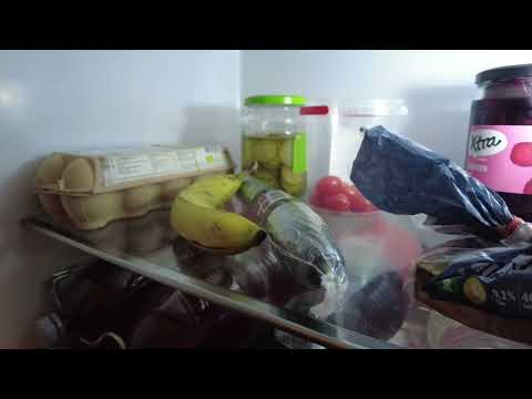 MongoTV_8731 - God LØRDAG 16.April 2022 - Flot Påske Vejr Med Sol