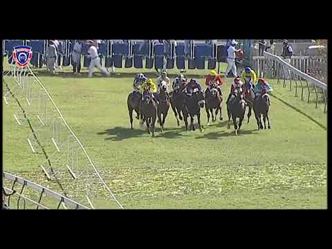 RM37 R6 | Ovation Award | J.Collett