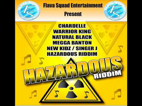 HaZardous Riddim Mix {Produced by Flava Squad} March 2012