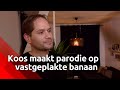 De peer van Koos moet grof geld gaan opleveren.