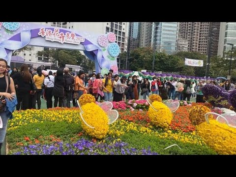 A city of beautiful flowers display