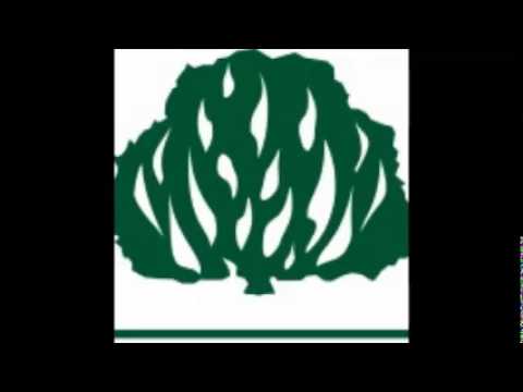 Arrependimento e Súplica video