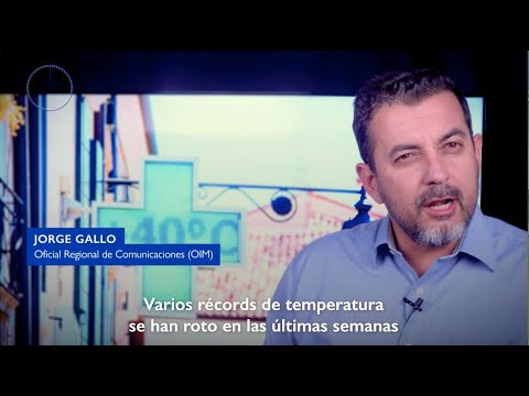 1 minuto sobre migración
