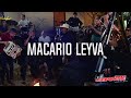 @laimponente macario leyva musical en vivo