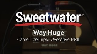 Video thumbnail for Way Huge Camel Toe Triple Overdrive MkII Pedal Review by Sweetwater
