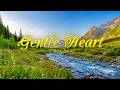 Gentle Heart Daniel Ethan Lyrics Emotional Love Song