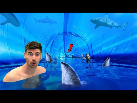 LARGEST SHARK TUNNEL!! - 5,000,000 Liter AQUARIUM!!