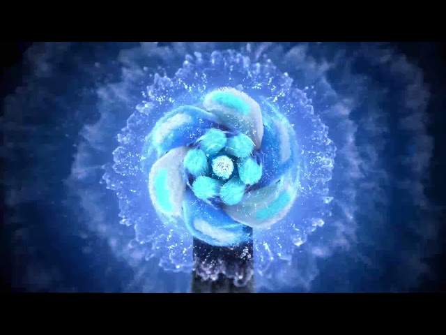 YouTube Video -