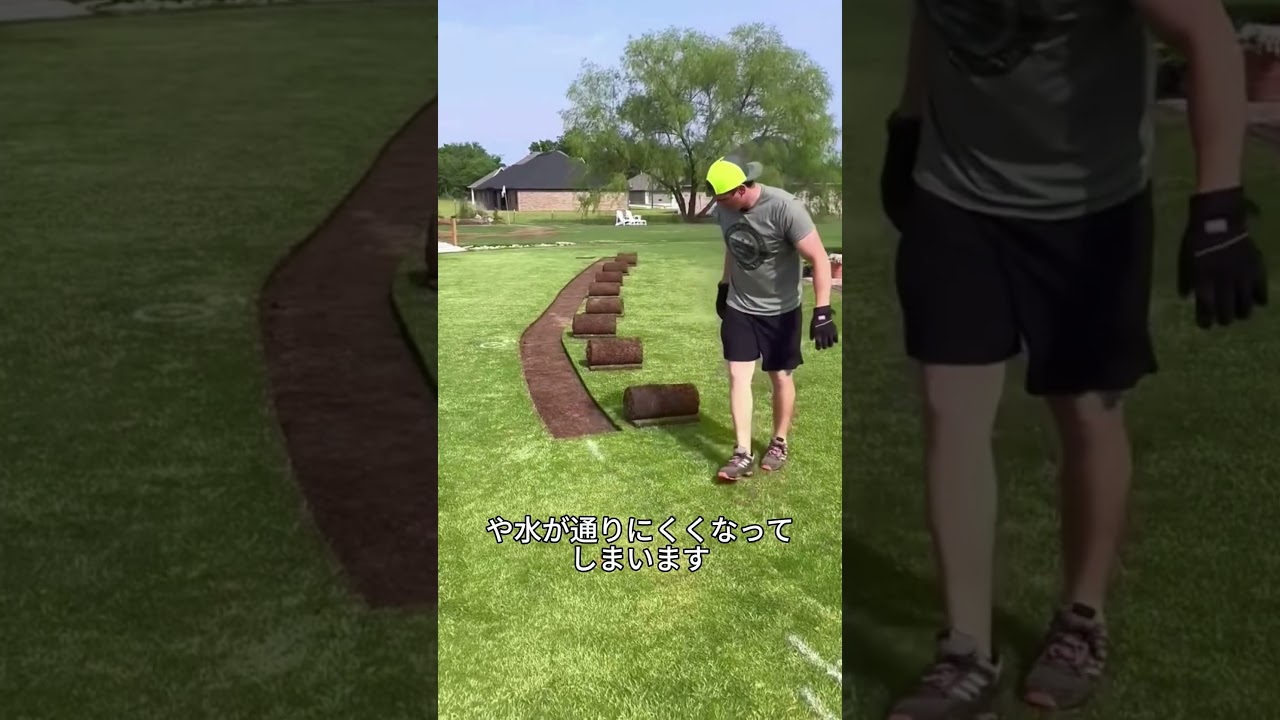 芝生に穴を開ける理由 #プチ知識#一分でわかる