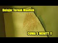Cara Budidaya Ikan Hias Manfish