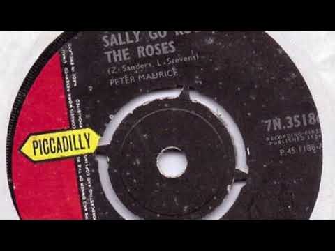 The Remo Four - Sally Go Round The Roses