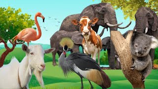 Download Lagu Cute little animals : cow, elephant, flamingo, grey crowned crane, koala Thumbnail