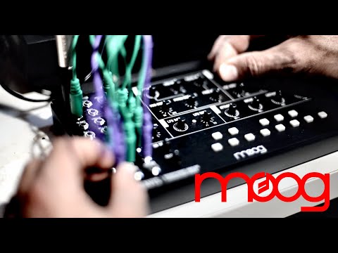 MOOG Mavis Synth | Film Scoring (Horror, Thriller)