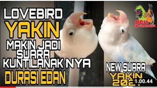 Download lagu MASTERAN LOVEBIRD KONSLET YAKIN MAKIN EDUN SUARA KUNTILAK DURASI JOS || LOVEBIRD VIRAL mp3