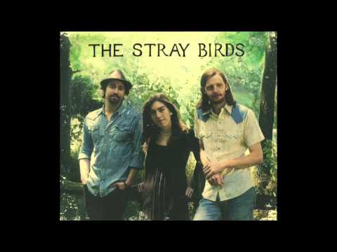 The Stray Birds-Dream in Blue STUDIO VERSION