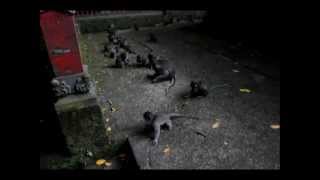preview picture of video 'Agressive Monkeys in the Alas Kedaton Pura (Temple) in Bali'