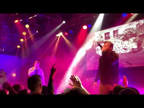 Stieber Twins - Schlangen sind giftig live 2017