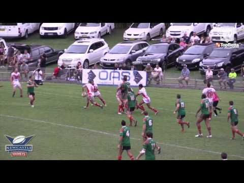 2016 Newcastle RL - Round 4 - 1st Grade Highlights - Western Suburbs v South Newcastle