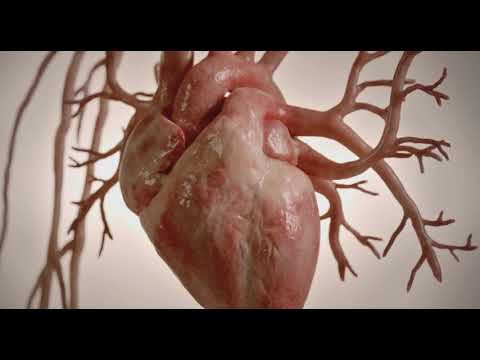 The Widowmaker Movie 2015