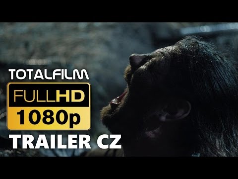 Náhled pro video reference