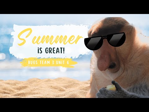 Bugs Team 3 unit 6 Summer is great!