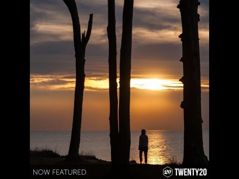 Gespensterwald (ghost forest)