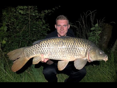 Eine Nacht am Baggersee auf Karpfen | Boilietest süß gegen fischig, Safety Clip Rig | Create Fishing