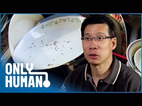 My Home Is Infested With Bugs | Kim's Rude Awakening S2 Ep1