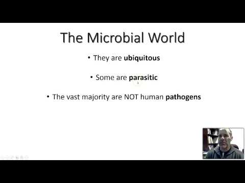 BIO 220 - CH 1 - VIDEO 1 - INTRO TO MICROBIOLOGY