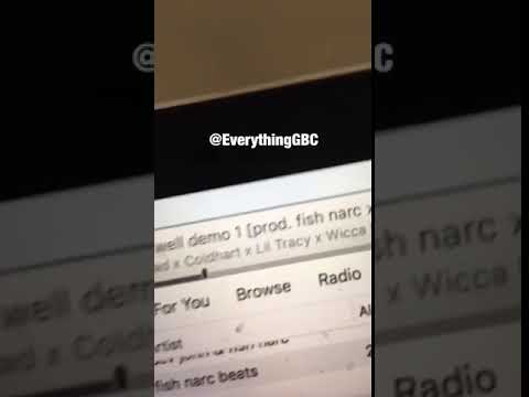 Horse Head, Cold Hart, Lil Tracy, Mackned & Wicca Phase Springs Eternal - Wishing Well (Snippet)