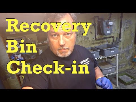 Is the recovery worm bin.. recovering?  Vermicompost