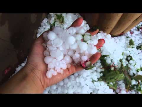 Nevihta, Žižki, 8.7.2015