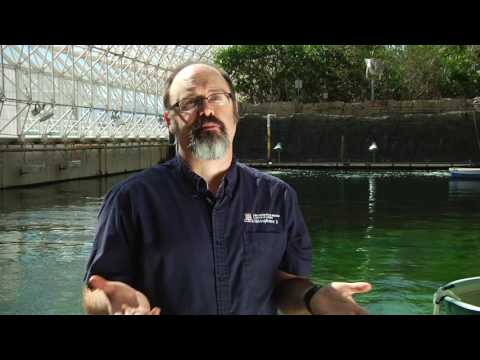 Biosphere 2 Short Documentary