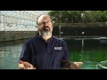Biosphere 2 Short Documentary - Juan Yescas Biosphere 2 Short Documentary