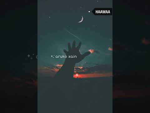 @bekcha ft. khusbu - Ghaam Joon [ Lyrics Video ] Prod. Saswot