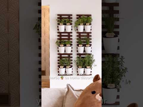 MY DIY INDOOR HERB GARDEN! 🪴🥹