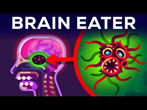 The Most Horrible Parasite: Brain Eating Amoeba