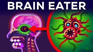 [問卦] 米酵菌和食腦蟲哪個比較離奇??