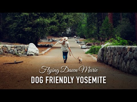 Yosemite Hotels Pet Friendly