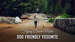 155: Dog-Friendly Spots in Yosemite National Park - Best PET-FRIENDLY Hikes & Activities