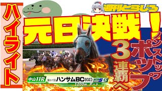 【ハイライト】第67回ハンサムBC【ダビスタ】