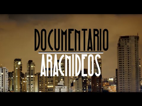 Aracnídeos: Aranhas e Escorpiões | Documentário