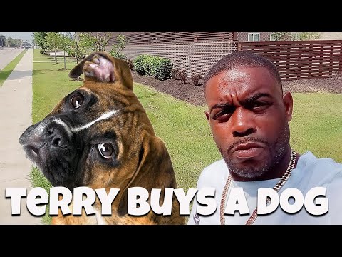 TERRY ES ESTAFADO POR UN PERRO