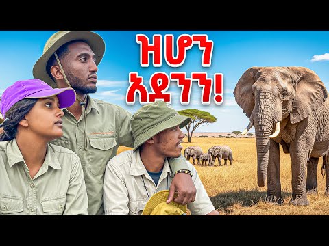 ዘመቻ ዝሆን ፍለጋ ከYuti Nass ጋር 🐘