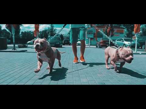 Juniker x VNDM- Bajnok (Darmos József) (Official Music Video 2017)