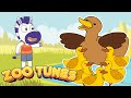 Five Little Ducks Kids Songs Nursery Rhymes Zoo Tunes