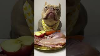 Dog Eat​ Delicious Food ASMR Dog Eating Raw Meat 011 #dog #eating #show #eat raw #meat #vegetable