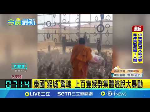 泰國猴群大暴動！密集恐懼症慎入！上百隻猴子集體"越獄"竄街頭 闖屋.搶食.對峙警方 居民嚇到不敢出門｜三立新聞網 SETN.com