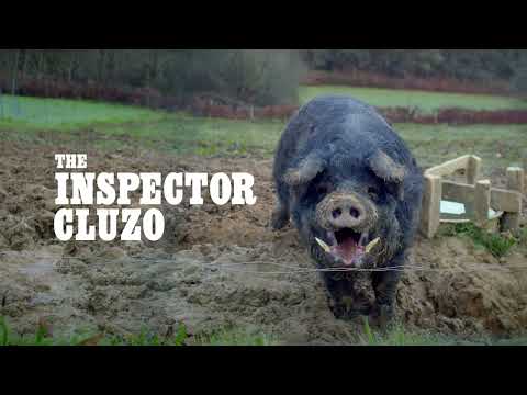 THE INSPECTOR CLUZO - CATFARM