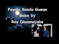 Payala Sanda Guwan Gabe by Roy Dissanayake